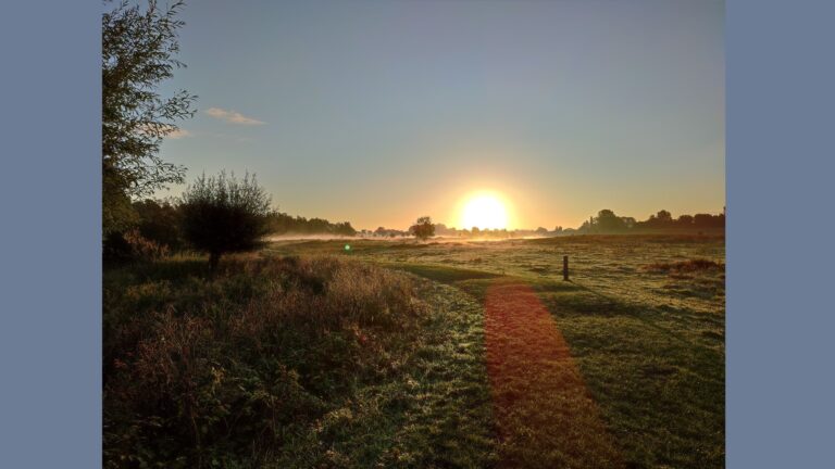 Stiltewandelingen in de Biesbosch