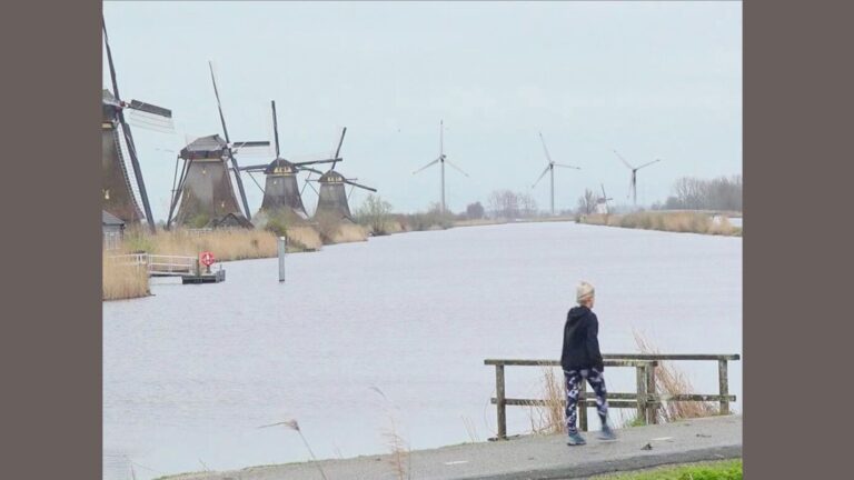 ‘Plannen voor mega-windturbines bedreigen Werelderfgoed Kinderdijk’