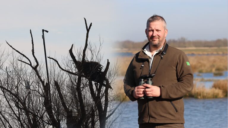 Genieten van de visarend-soap in de Biesbosch