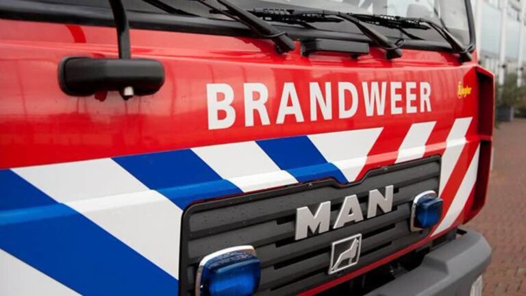 Mierenplaag bestrijden? Doe het niet met vuur, weten deze bewoners nu