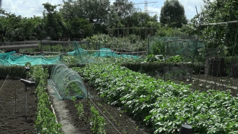 Schoonmaakproef PFAS-moestuinen in Sliedrecht, Papendrecht en Molenlanden
