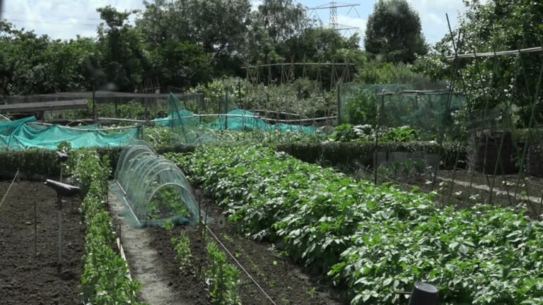 Uitbreiding moestuinonderzoek naar PFAS: meer tuinders gezocht