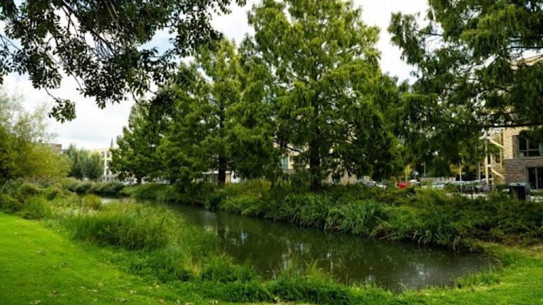 Ridderkerk wil in 2026 monument hebben voor Molukse gemeenschap