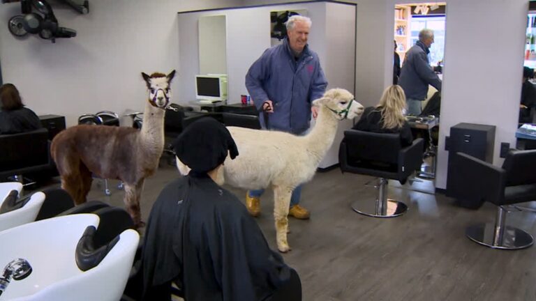Kwint en Cato zijn terug en brengen Ambachters een glimlach