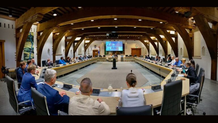 Gratis cursus raadslid, iets voor jou?