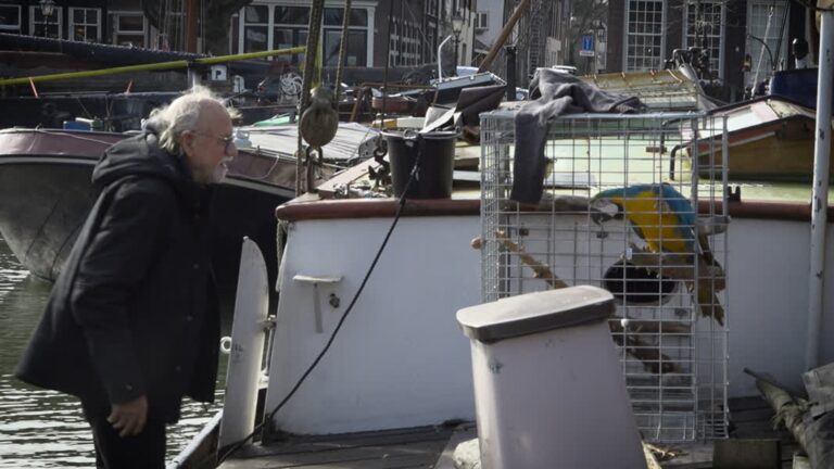 Soap om ara in Wolwevershaven, eigenaar is zich van geen kwaad bewust