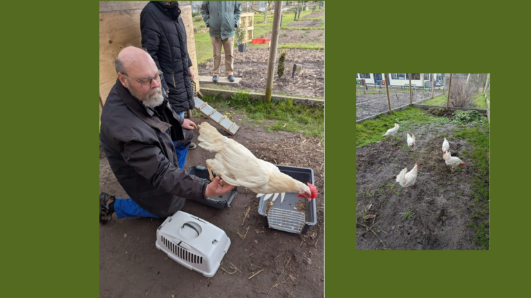 Vandaag (donderdag) op de Moestuin