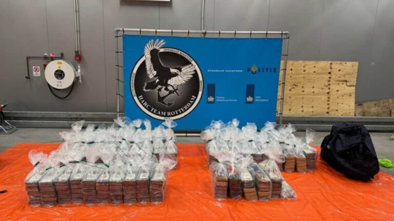 Avocado-bestelling voor Ridderkerks bedrijf bevat 553-kilo cocaïne