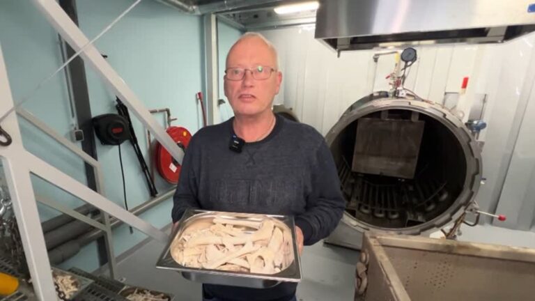 Huisdier in urn zonder CO2-uitstoot: ‘Gesproeid, week gemaakt en opgelost’