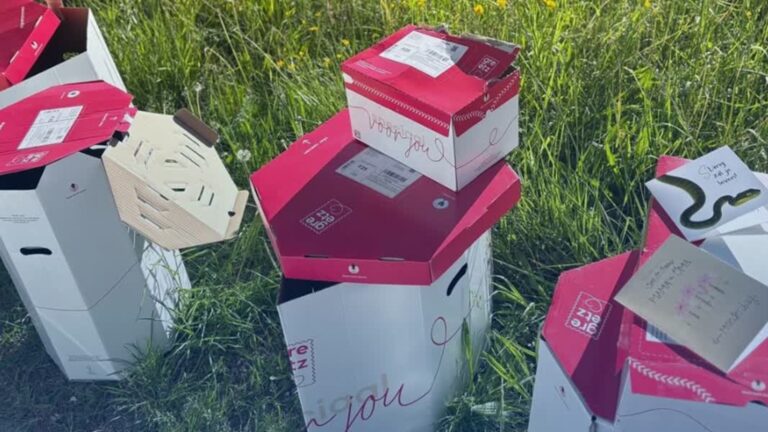 Bezorger dumpt Moederdagpakketjes en haalt cadeaus eruit