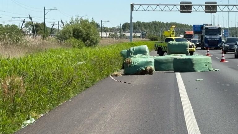 Dat is balen: hooi blokkeert rijstrook A15