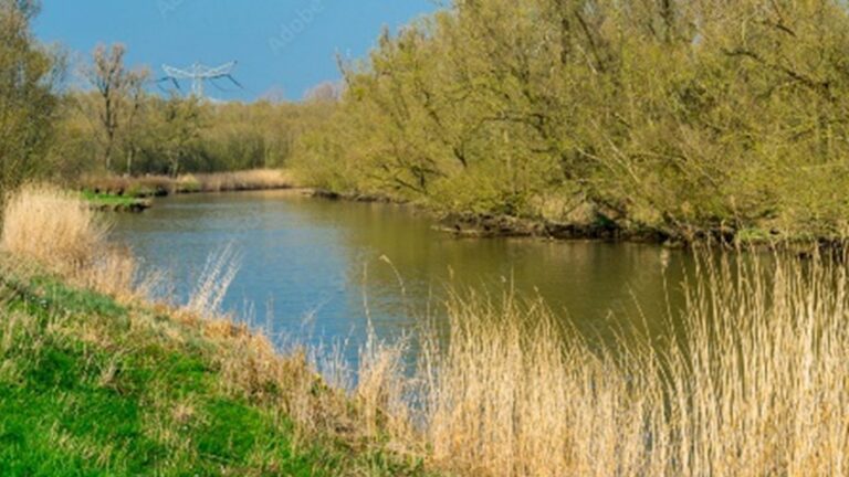 15 Mei – Lezing Wim van Wijk