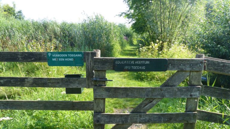 30 augustus – Wandeling in de Educatieve Heemtuin