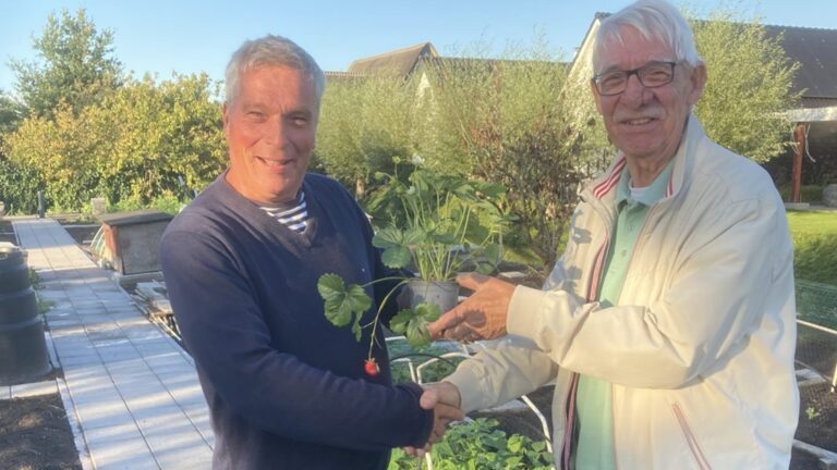 Papendrechtse moestuinen na herstelaanpak weer geschikt voor consumptie