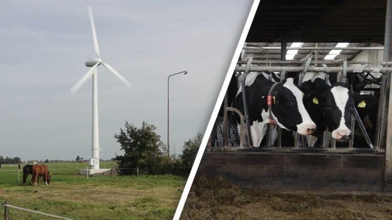 Kleine windmolen op eigen erf om zelf stroom op te wekken