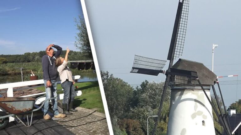 Deze molen staat al maanden stil: ‘Je wil die wieken horen!’