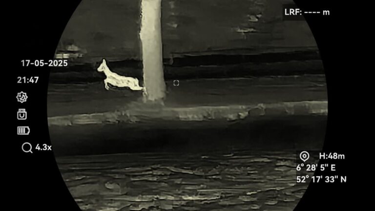 De Nacht van de Nacht in Ridderkerk