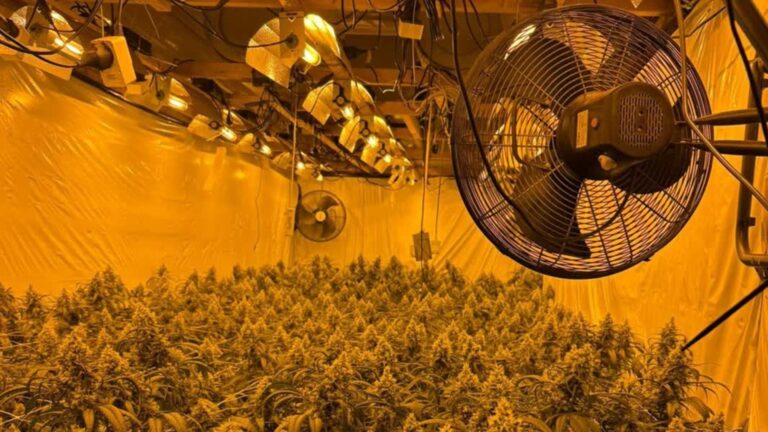 Hard- en softdrugs gevonden in panden: burgemeesters grijpen in