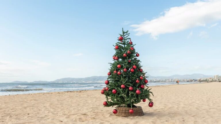 Het lijkt wel lente: record na record verbroken door hoge temperaturen