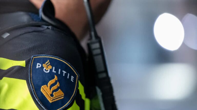 Politie zoekt kopschoppers na caféruzie