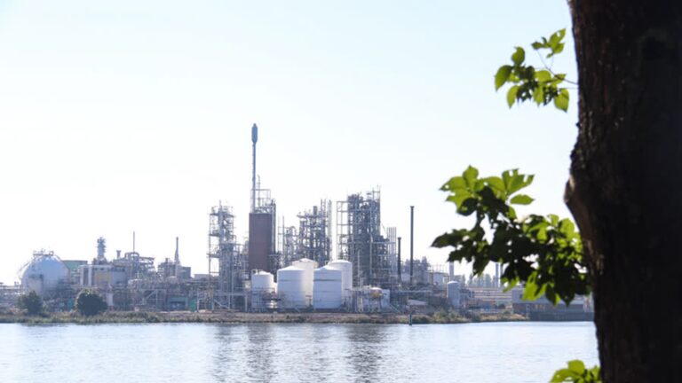 Rechtbank: Nederlandse Staat doet genoeg om PFAS-problemen tegen te gaan